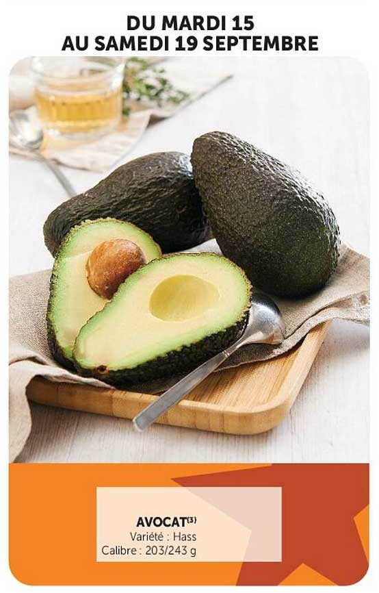 AVOCAT(3)