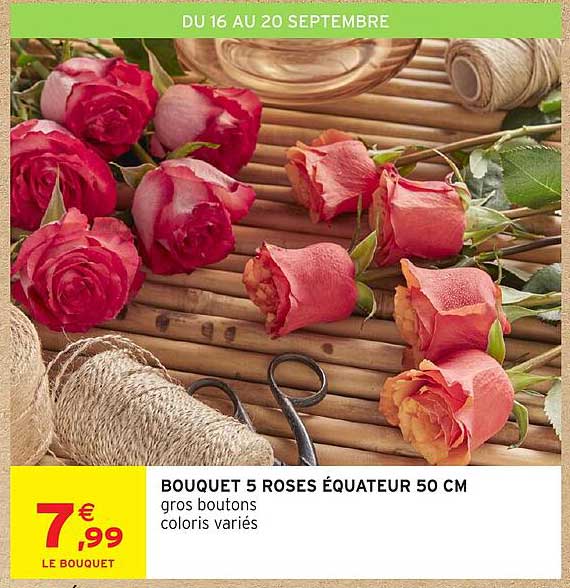 BOUQUET 5 ROSES ÉQUATEUR 50 CM