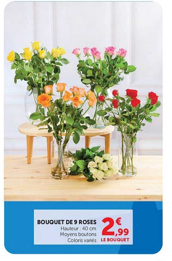 BOUQUET DE 9 ROSES
