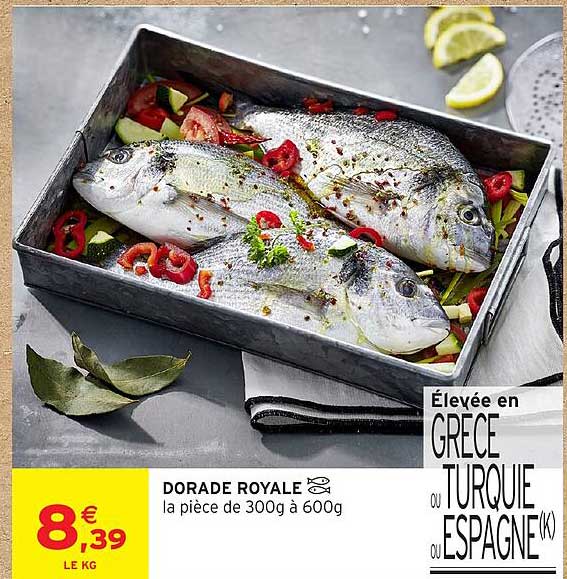 DORADE ROYALE