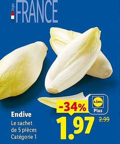 Endive