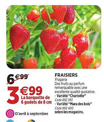 FRAISIERS