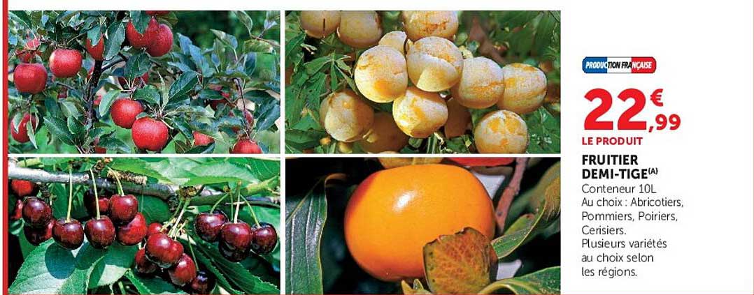 FRUITIER DEMI-TIGE(A)