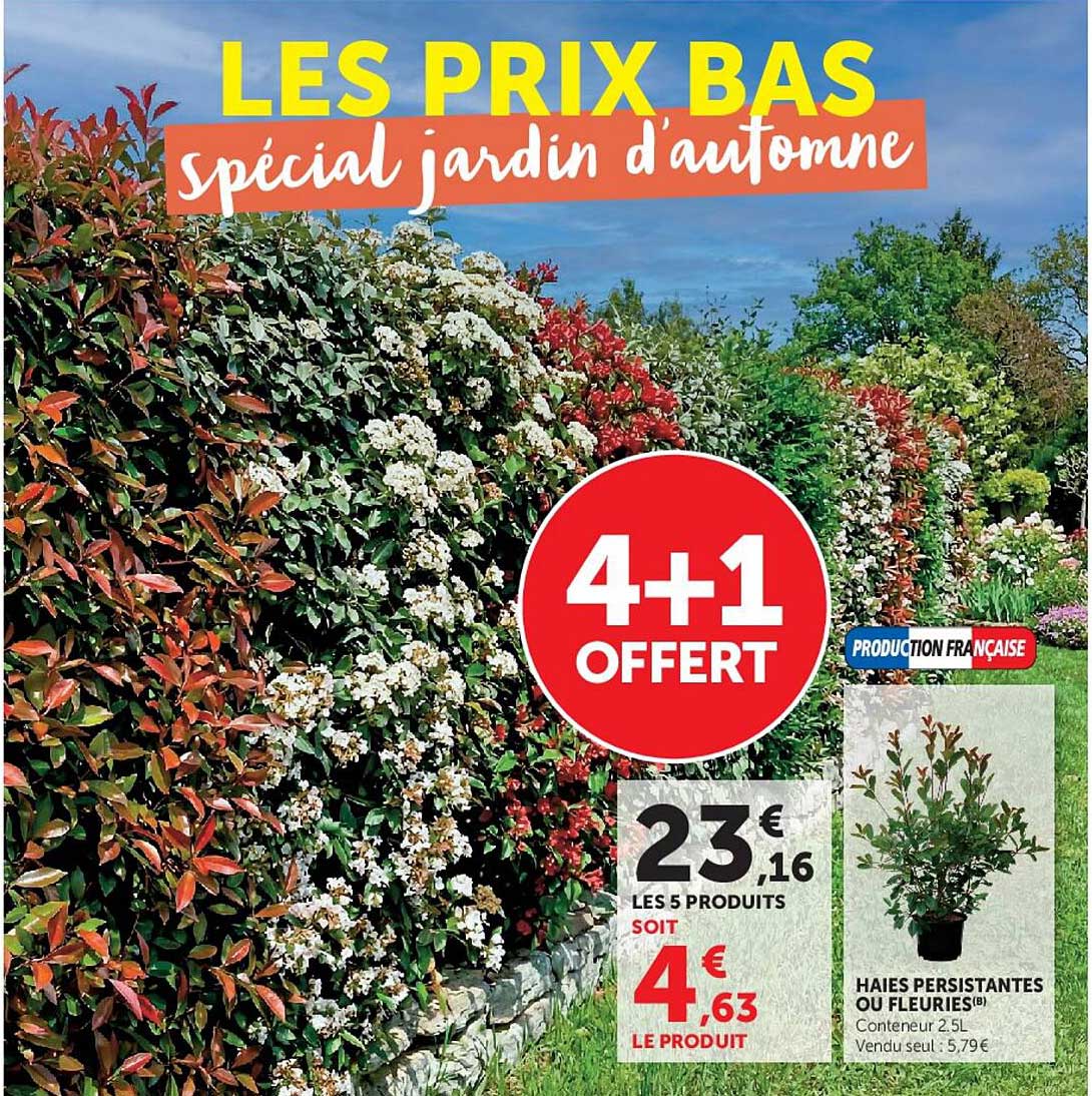 LES PRIX BAS spécial jardin d’automne