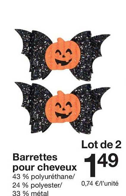 Lot de 2 Barrettes pour cheveux