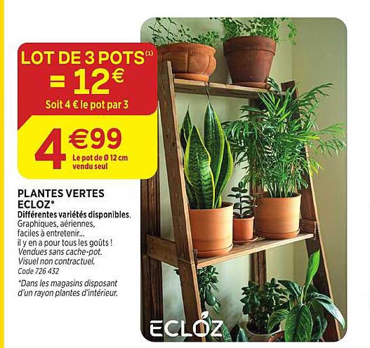 LOT DE 3 POTS ¹ = 12€
