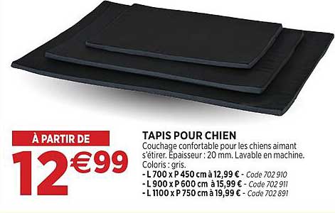 TAPIS POUR CHIEN