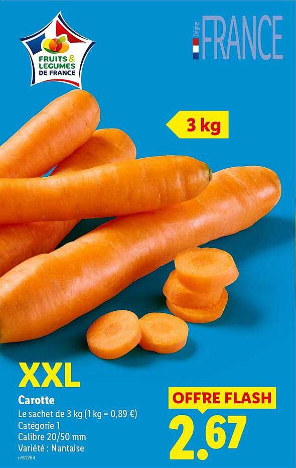 XXL Carotte