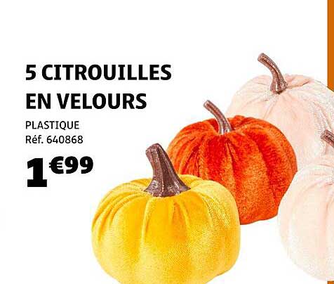 5 CITROUILLES EN VELOURS