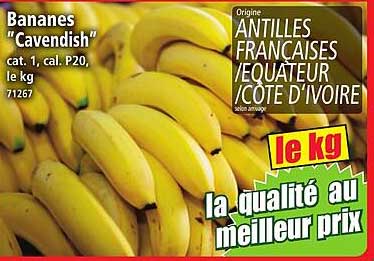 Bananes "Cavendish"