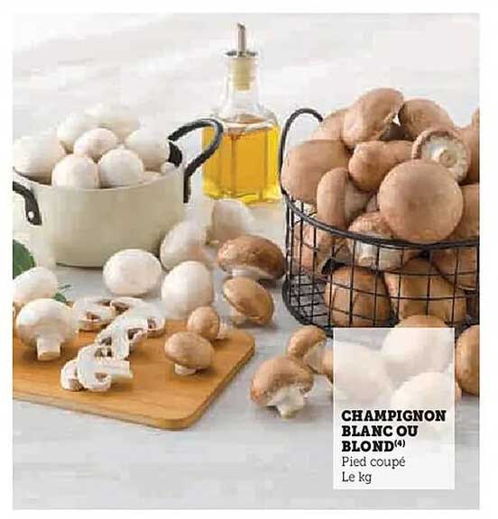 CHAMPIGNON BLANC OU BLOND