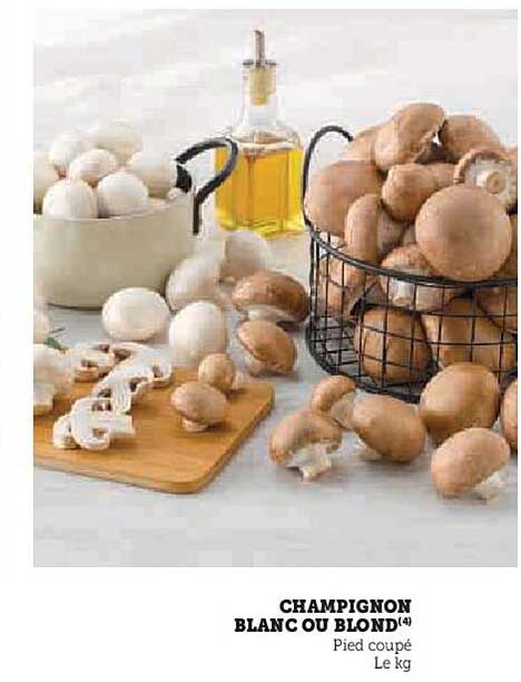 CHAMPIGNON BLANC OU BLOND(4)