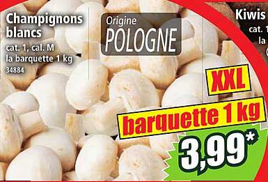Champignons blancs XXL barquette 1 kg