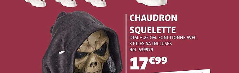 CHAUDRON SQUELETTE