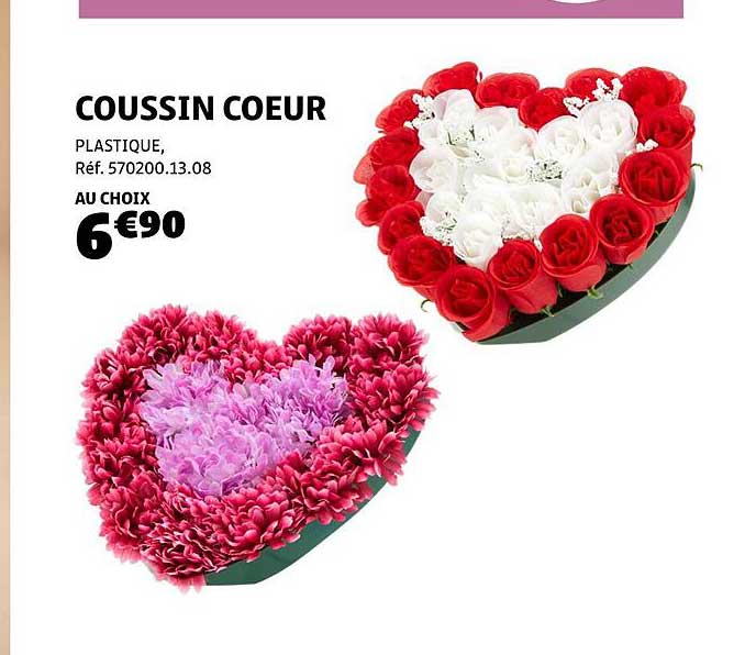 COUSSIN COEUR