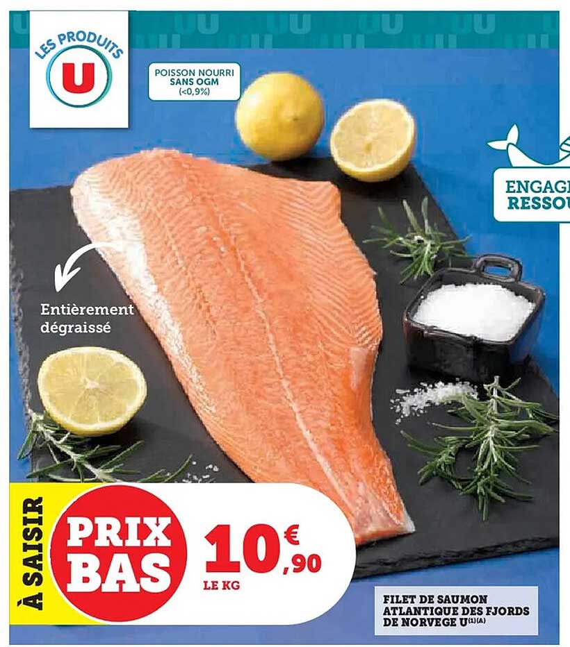 Filet de saumon Atlantique des fjords de Norvège