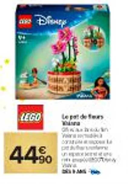 Le pot de fleurs hawaïen