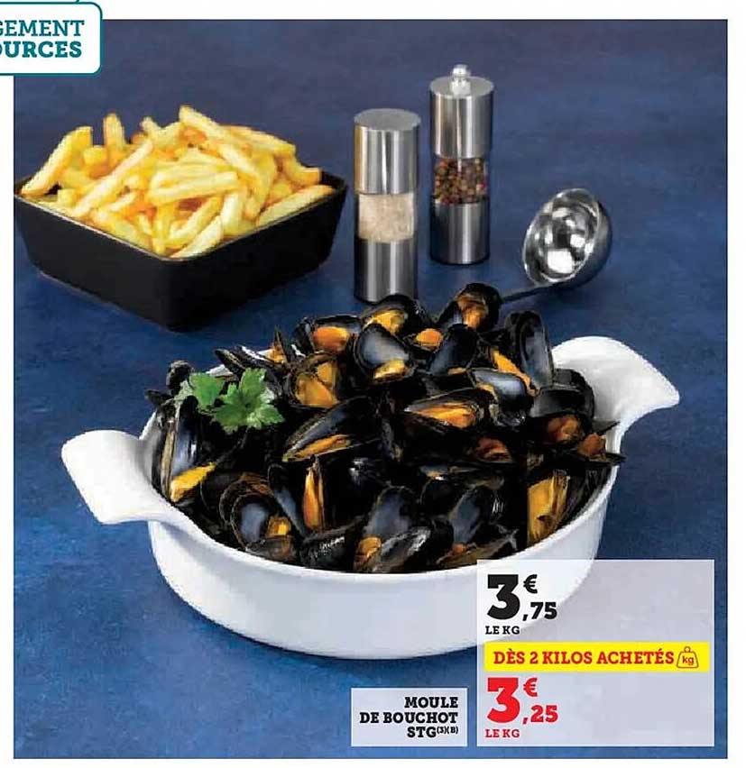 Moule de Bouchot