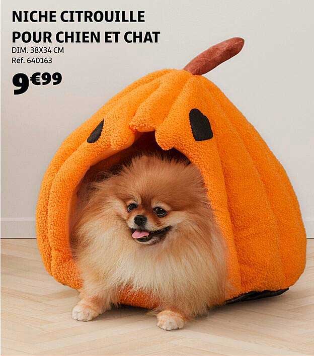 NICHE CITROUILLE POUR CHIEN ET CHAT