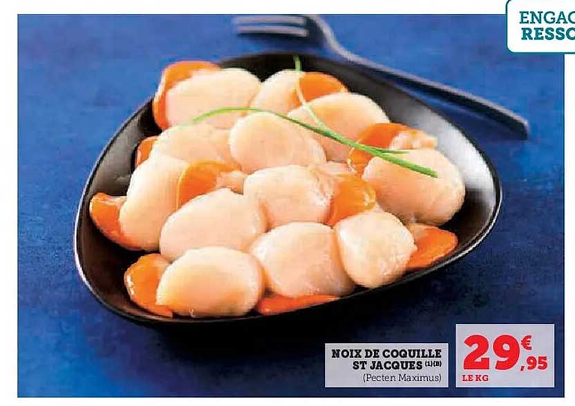 Noix de Coquille St Jacques (1 kg) (Pecten Maximus)