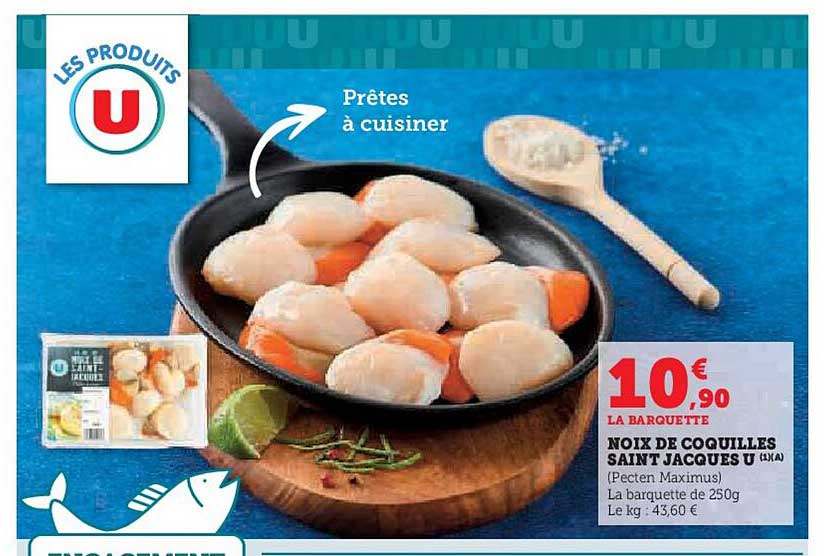 Noix de coquilles Saint Jacques U