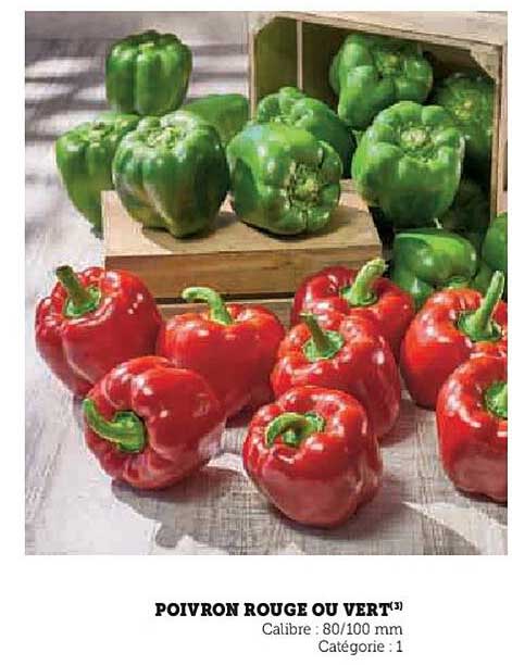 POIVRON ROUGE OU VERT