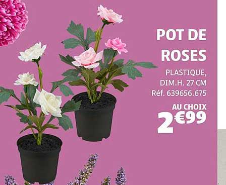POT DE ROSES