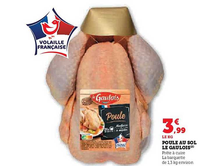 POULE AU SOL LE GAULOIS