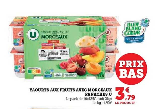 YAOURTS AUX FRUITS AVEC MORCEAUX PANACHES U