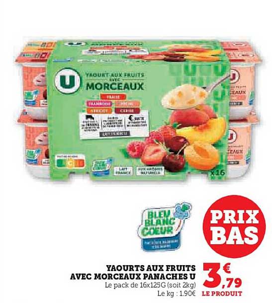 YAOURTS AUX FRUITS AVEC MORCEAUX PANACHÉS U