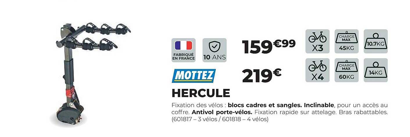 MOTTEZ HERCULE