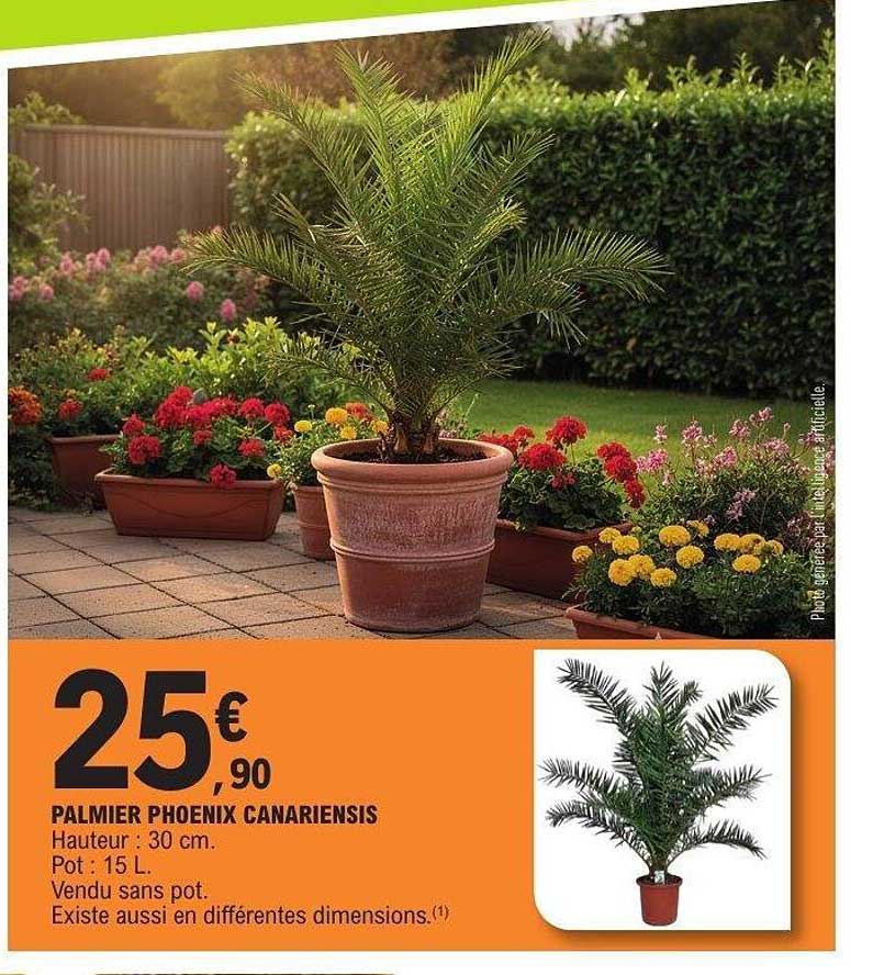 Sitemapcdatahttpsmodeinf Inetcomprix Palmier Phoenix 1m50