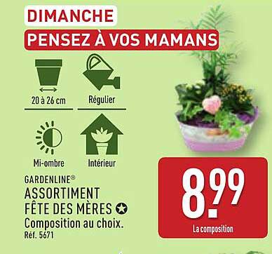ASSORTIMENT FÊTE DES MÈRES