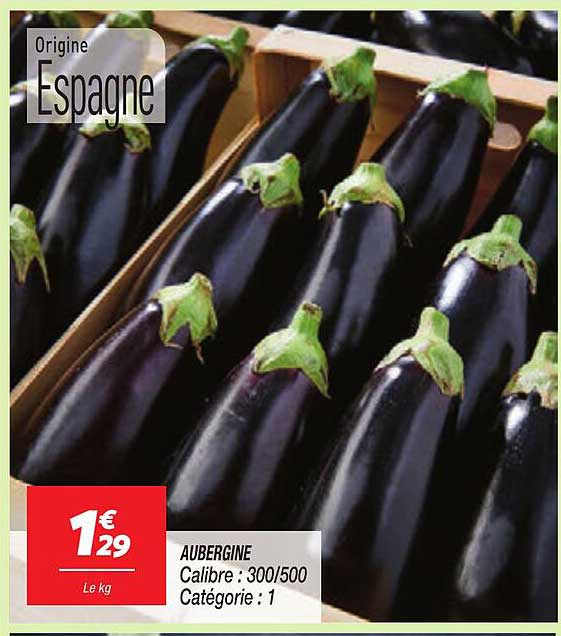 AUBERGINE