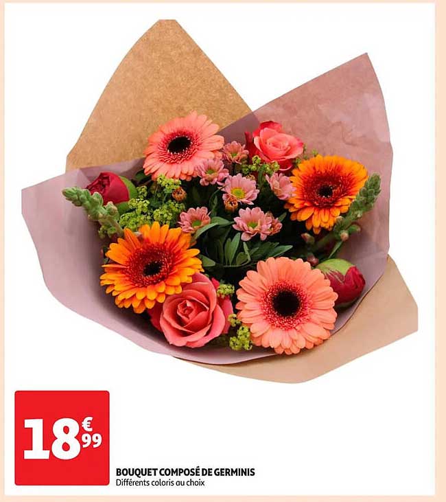 BOUQUET COMPOSE DE GERMINIS