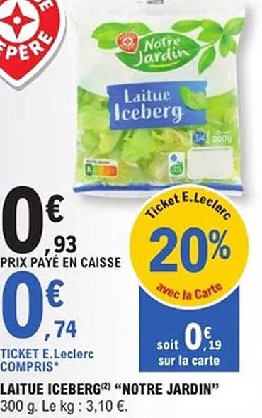 LAITUE ICEBERG "NOTRE JARDIN"
