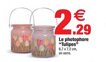 Le photophore “Tulipes”