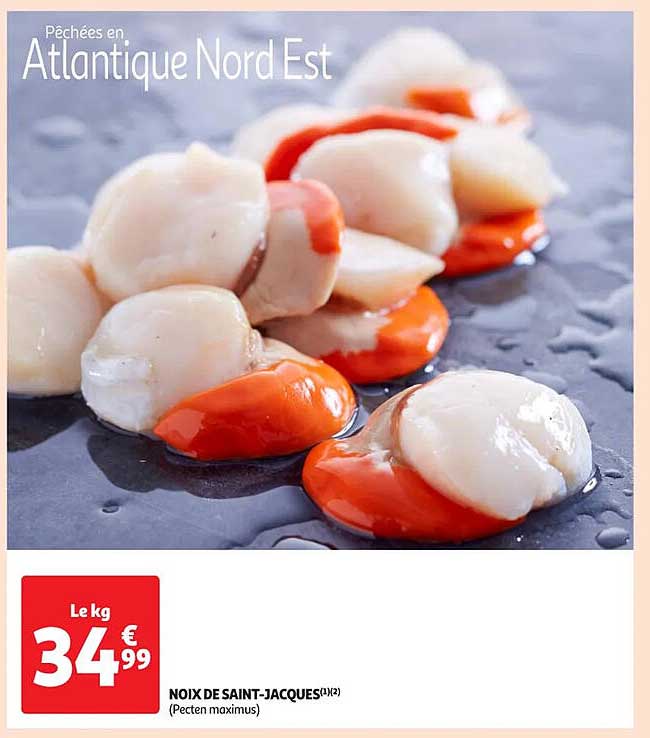 NOIX DE SAINT-JACQUES (Pecten maximus)