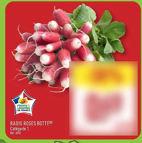 RADIS ROSES BOTTE(B) Catégorie 1