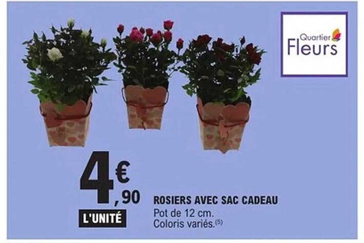 ROSIERS AVEC SAC CADEAU