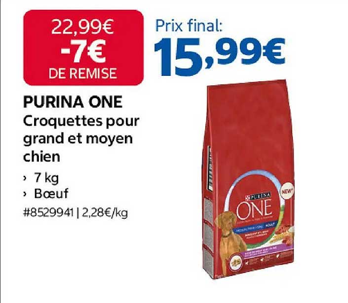 PURINA ONE Croquettes pour grand et moyen chien
