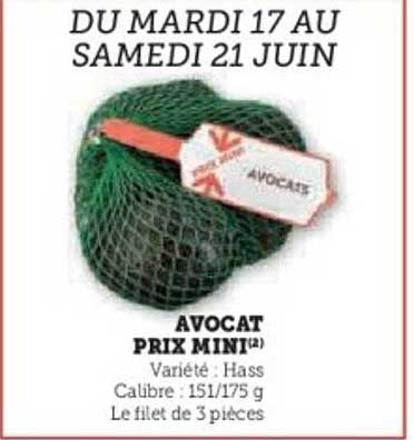 AVOCAT PRIX MINI