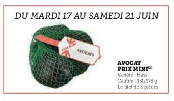 AVOCAT PRIX MINI