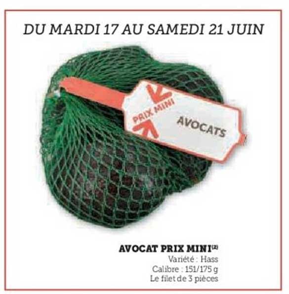 AVOCAT PRIX MINI