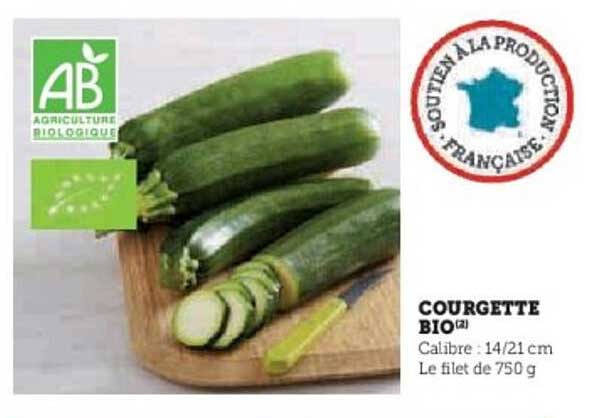 COURGETTE BIO