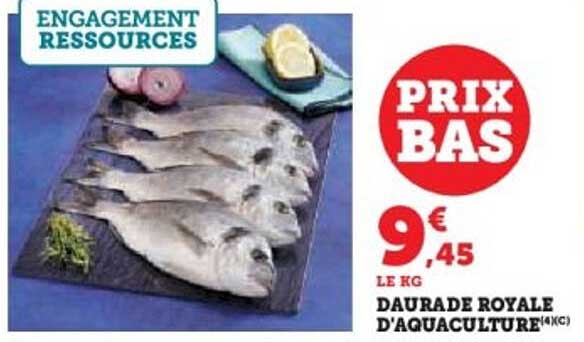 DAURADE ROYALE D'AQUACULTURE