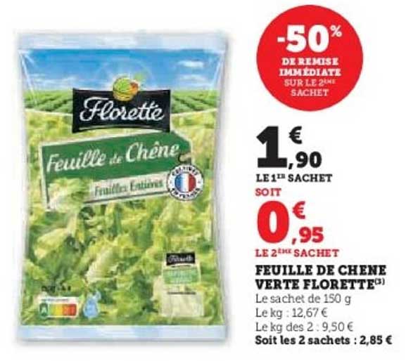 FEUILLE DE CHÊNE VERTE FLORETTE