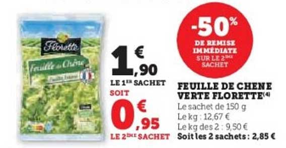 FEUILLE DE CHÊNE VERTE FLORETTE
