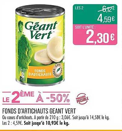 FONDS D'ARTICHAUTS GEANT VERT