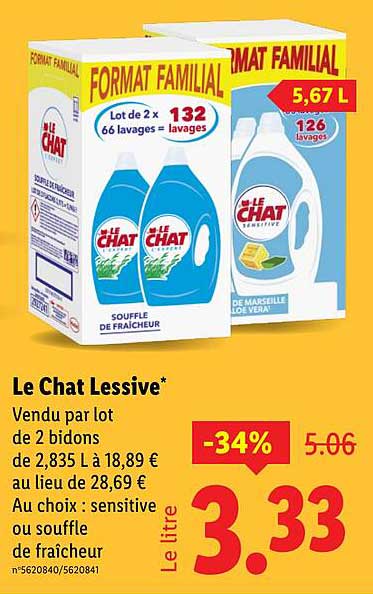 Le Chat Lessive*